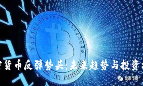 加密货币反弹势头：未来趋势与投资机会