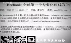   印度加密货币的发展现状