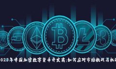 2023年中国加密数字货币开