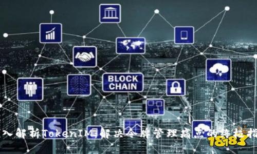 深入解析TokenIM：解决令牌管理痛点的终极指南