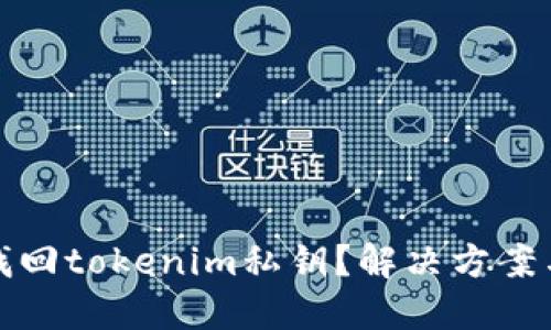 如何找回tokenim私钥？解决方案与技巧