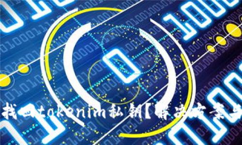 如何找回tokenim私钥？解决方案与技巧