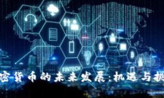 探讨加密货币的未来发展