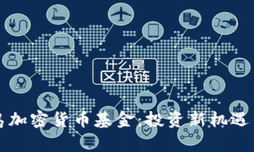 维尔京群岛加密货币基金：投资新机遇与风险解析