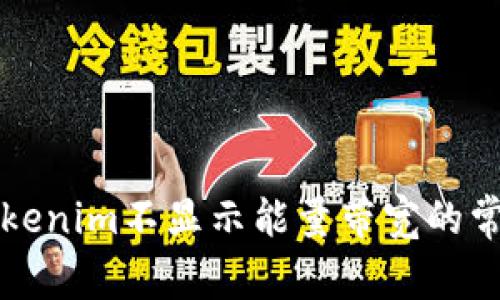 解决Tokenim不显示能量带宽的常见问题