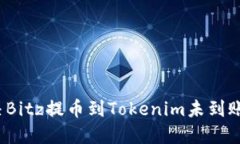 如何解决Bitz提币到Tokenim未到账的问题？