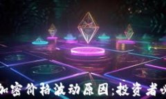 深入解析货币加密价格波