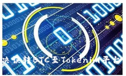 如何解决误转BTC至Tokenim平台的困境？