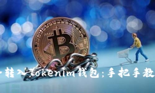 主网币如何安全转入Tokenim钱包：手把手教你解决转账难题