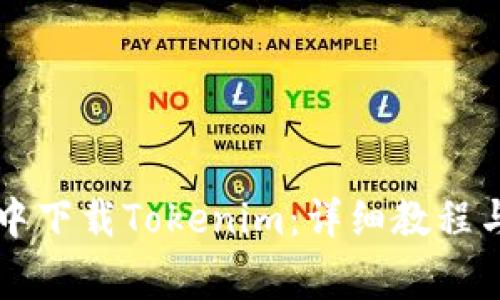 如何在PP助手中下载Tokenim：详细教程与常见问题解答