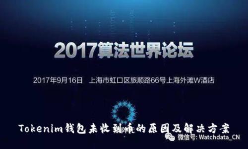 Tokenim钱包未收到币的原因及解决方案