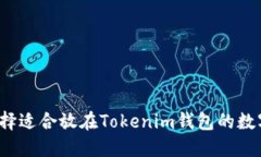 如何选择适合放在Tokenim钱包的数字货币？