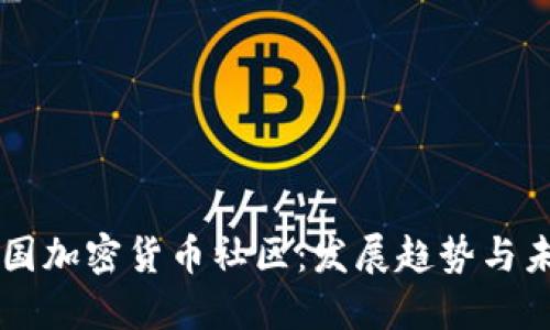 了解美国加密货币社区：发展趋势与未来挑战