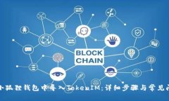 如何在小狐狸钱包中导入TokenIM：详细步骤与常见