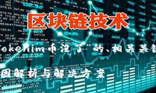 下面是一个针对“Tokenim币没了”的、相关关键词以及内容大纲。

Tokenim币消失原因解析与解决方案