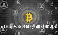 如何将TokenIM导入到M链：步骤详解与常见问题解答
