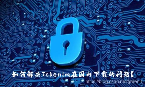如何解决Tokenim在国内下载的问题？