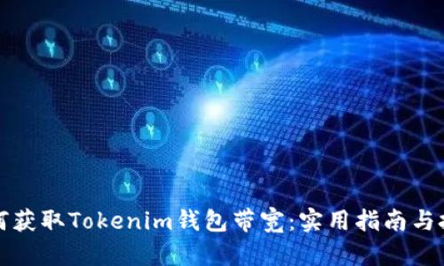如何获取Tokenim钱包带宽：实用指南与技巧