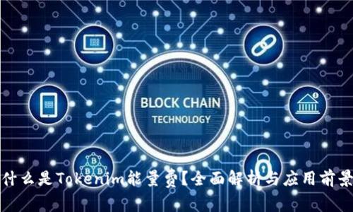 什么是Tokenim能量费？全面解析与应用前景
