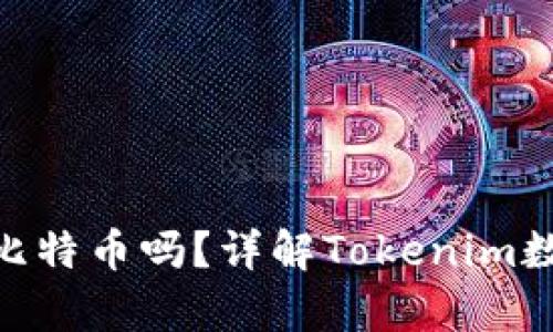 Tokenim能存放比特币吗？详解Tokenim数字资产钱包功能