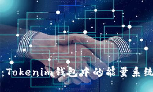 深入解析：Tokenim钱包中的能量系统及其应用