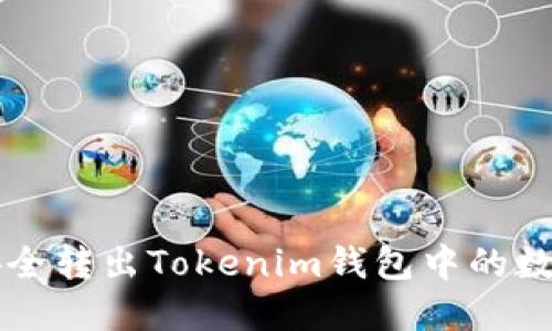 如何安全转出Tokenim钱包中的数字货币