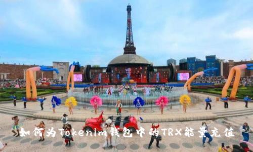 如何为Tokenim钱包中的TRX能量充值