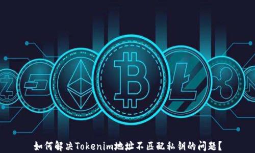 
如何解决Tokenim地址不匹配私钥的问题？