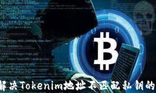 如何解决Tokenim地址不匹配私钥的问题?