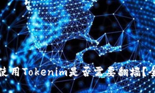 在中国使用Tokenim是否需要翻墙？全面解析