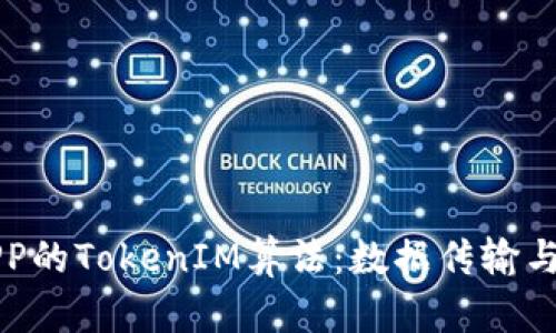 深入解析某APP的TokenIM算法：数据传输与安全的新纪元