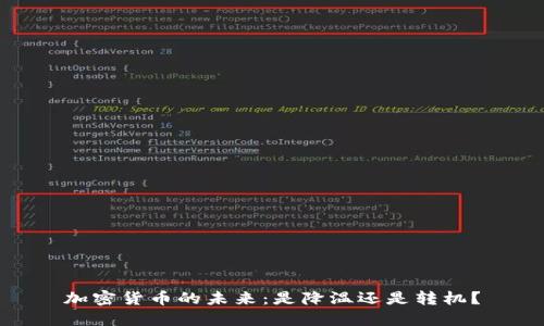 加密货币的未来：是降温还是转机？