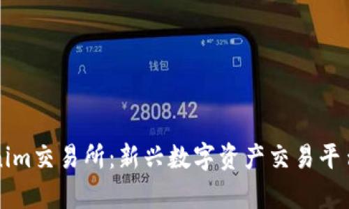 全面解析Tokenim交易所：新兴数字资产交易平台的优势与特点