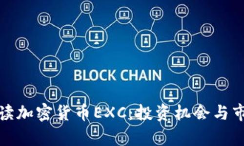 全面解读加密货币EXC：投资机会与市场前景