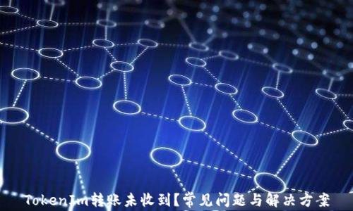 
TokenIm转账未收到？常见问题与解决方案