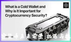   全球加密货币未来前景：